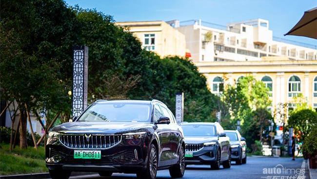 嵐圖汽車,東風,理念,現代