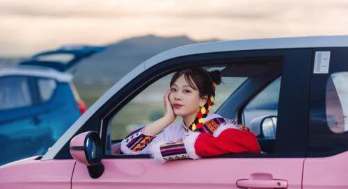 奇瑞,圓夢,QQ冰淇淋,小螞蟻,高爾夫