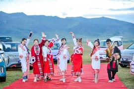 奇瑞,圓夢,QQ冰淇淋,小螞蟻,高爾夫