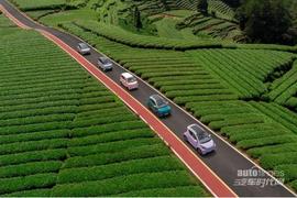 奇瑞,小螞蟻,魅影,無界Pro,QQ冰淇淋