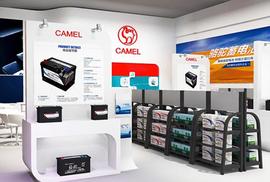 駱駝,大眾,比亞迪,海豹,長安