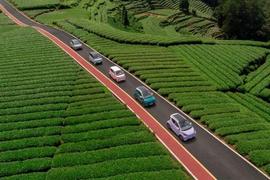 奇瑞,小螞蟻,魅影,無界Pro,QQ冰淇淋