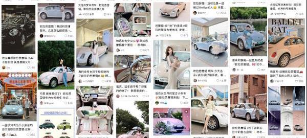 歐拉,發現,歐拉芭蕾貓