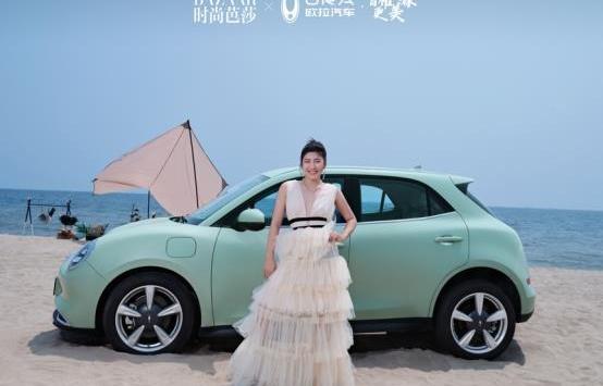 歐拉好貓,歐拉,理念,遠程