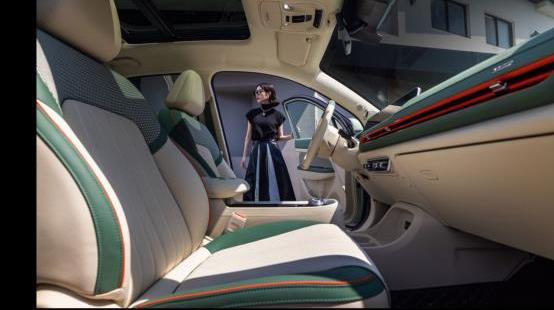 歐拉好貓,歐拉,理念,遠程