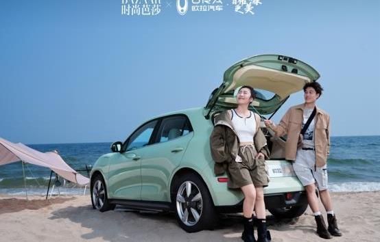 歐拉好貓,歐拉,理念,遠程