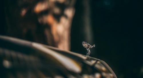 勞斯萊斯,閃靈,幻影,世紀