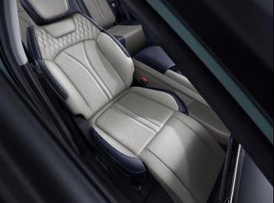 皓極,東風,東風風神,DS