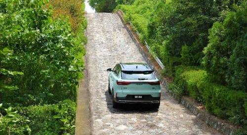 皓極,東風,東風風神,DS