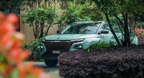 皓極,東風,東風風神,DS