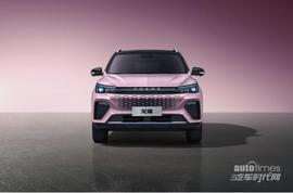 榮威,龍貓,威龍