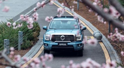 炮,金剛炮,長城,理念,遠程