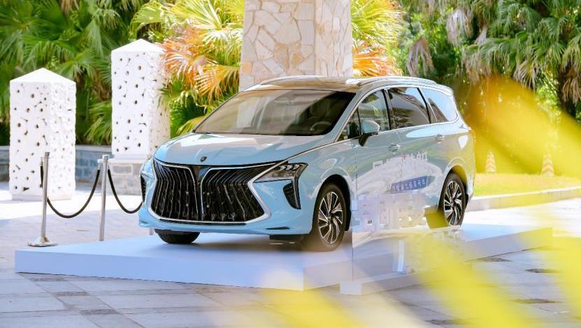 風行游艇,東風風行,東風,遠程