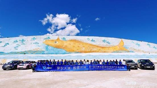 元PLUS,比亞迪,海豚,漢