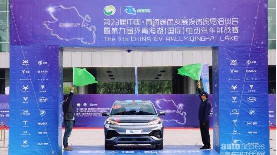 元PLUS,比亞迪,海豚,漢