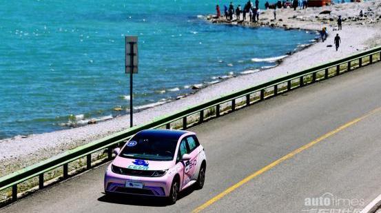 元PLUS,比亞迪,海豚,漢