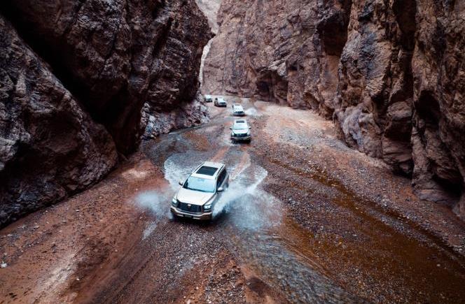 坦克,坦克500,昂揚,仰望