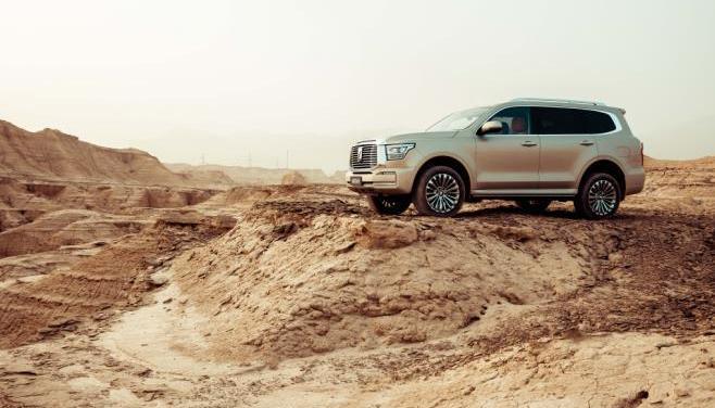 坦克,坦克500,昂揚,仰望