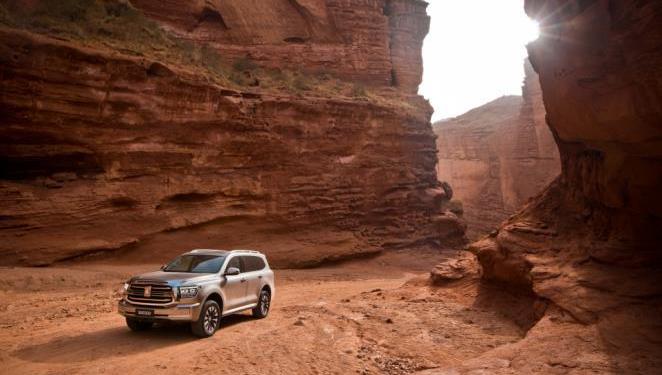 坦克,坦克500,昂揚,仰望