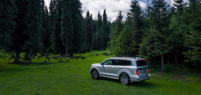 坦克,坦克500,昂揚,仰望