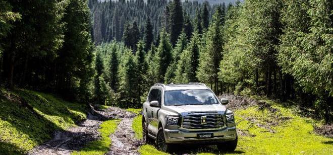 坦克,坦克500,昂揚,仰望