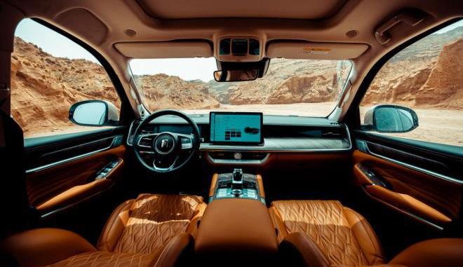 坦克,坦克500,昂揚,仰望