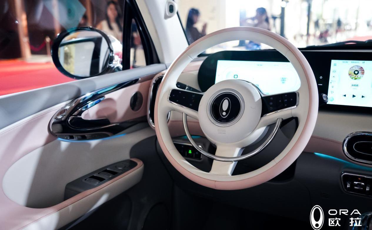 歐拉,大眾,理念,發現,歐拉芭蕾貓