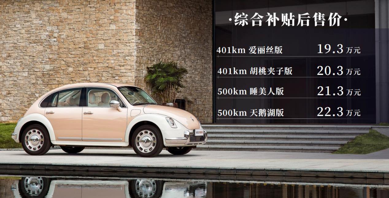 歐拉,大眾,理念,發現,歐拉芭蕾貓