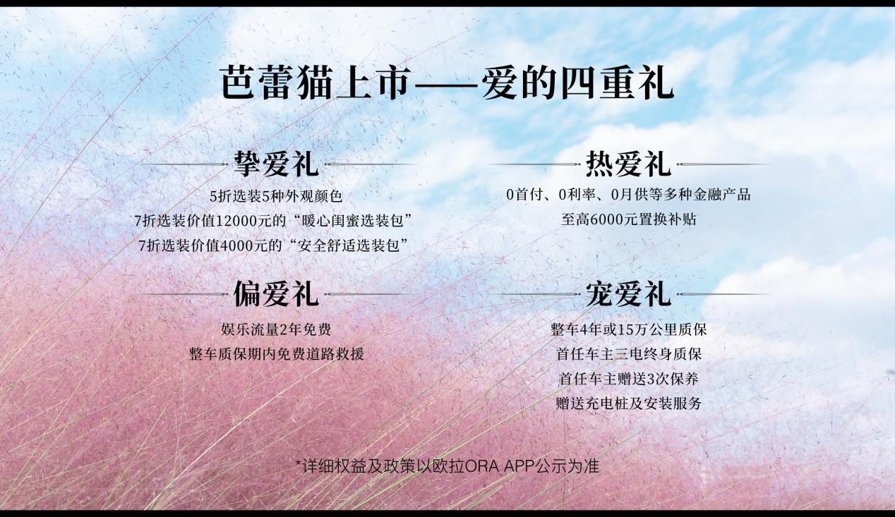 歐拉,大眾,理念,發現,歐拉芭蕾貓