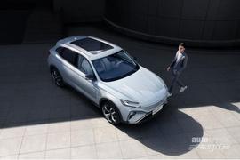 飛凡汽車,斑馬