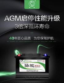 駱駝,發現