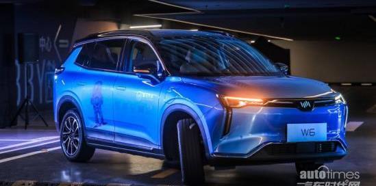 威馬汽車,威馬W6,大眾