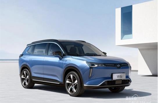 威馬汽車,威馬W6,大眾