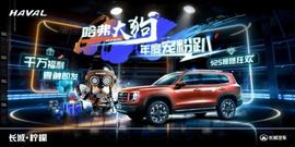 哈弗,哈弗大狗,大運,遠程