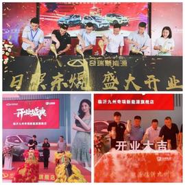 奇瑞,奇瑞新能源,小螞蟻