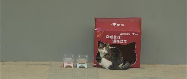 歐拉,歐拉白貓,長城,理念