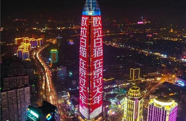 歐拉,歐拉白貓,北京