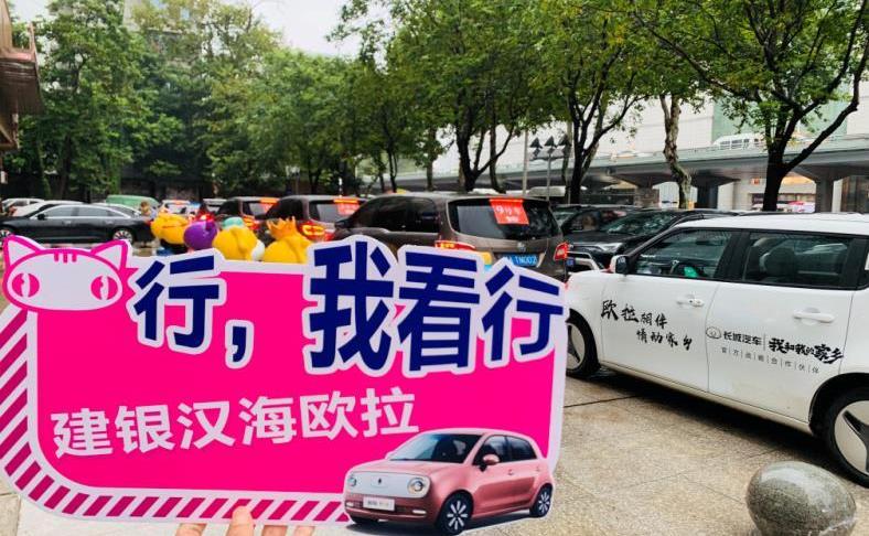 歐拉,長城,漢,歐拉白貓,理念