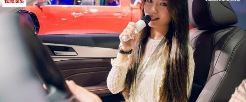 哈弗,鋼鐵俠