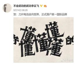 比亞迪,漢