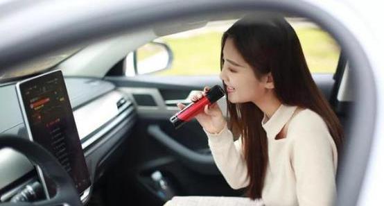 比亞迪,遠程