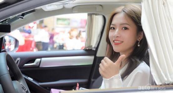 比亞迪,現代,遠程