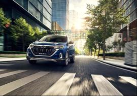 北京,北京汽車,發現,衛士