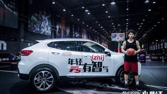 哈弗,長城,大發