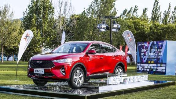 哈弗,長城,大發