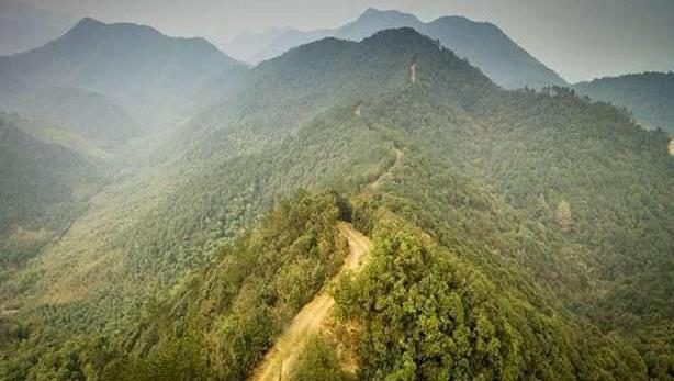 哈弗,哈弗H9,長城