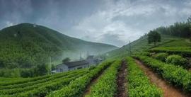 哈弗,哈弗H9,長城