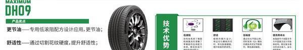 DS,衛士,現代