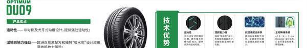 DS,衛士,現代
