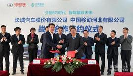 長城,遠程,哈弗,歐拉